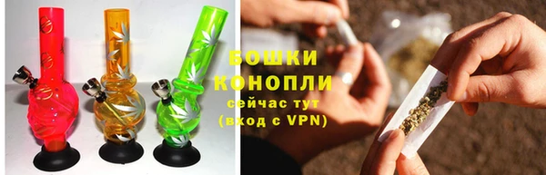 амф Касимов