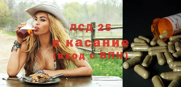 амф Карпинск