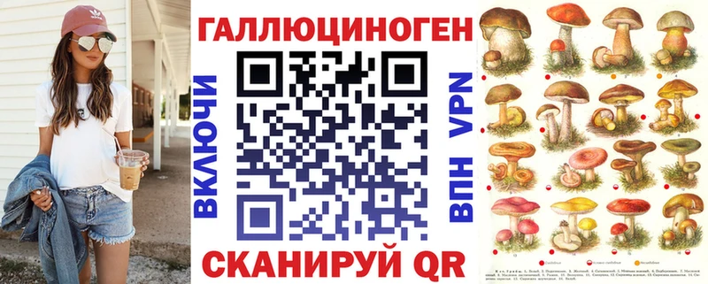 купить закладку  Кыштым  Псилоцибиновые грибы GOLDEN TEACHER 