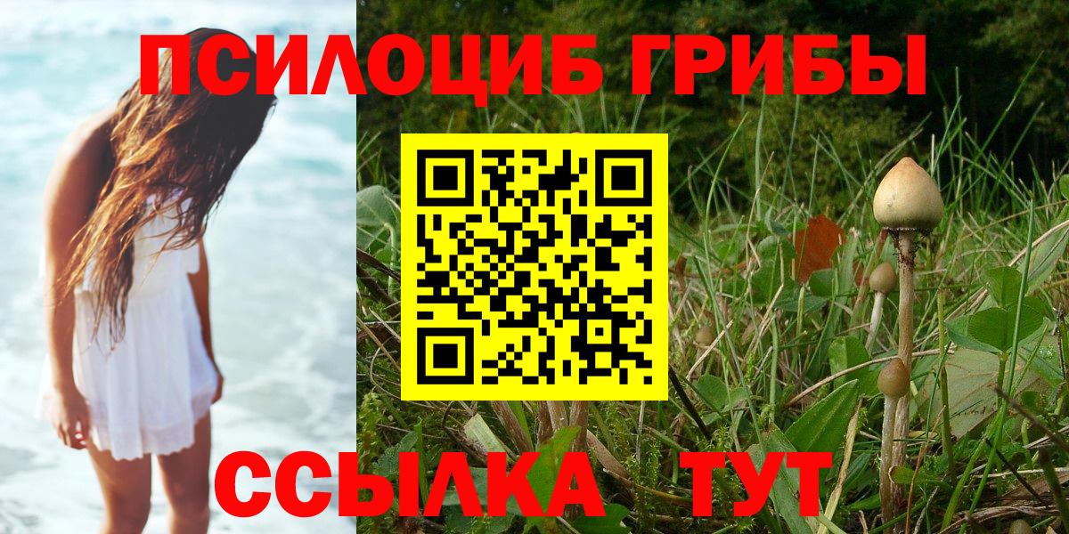 Псилоцибиновые грибы Psilocybe Кыштым