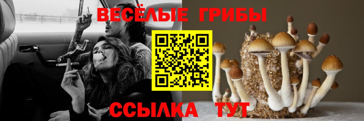 Кыштым  Псилоцибиновые грибы GOLDEN TEACHER  Вход с VPN 